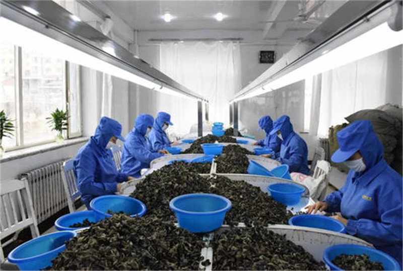 维多宝_副本.jpg