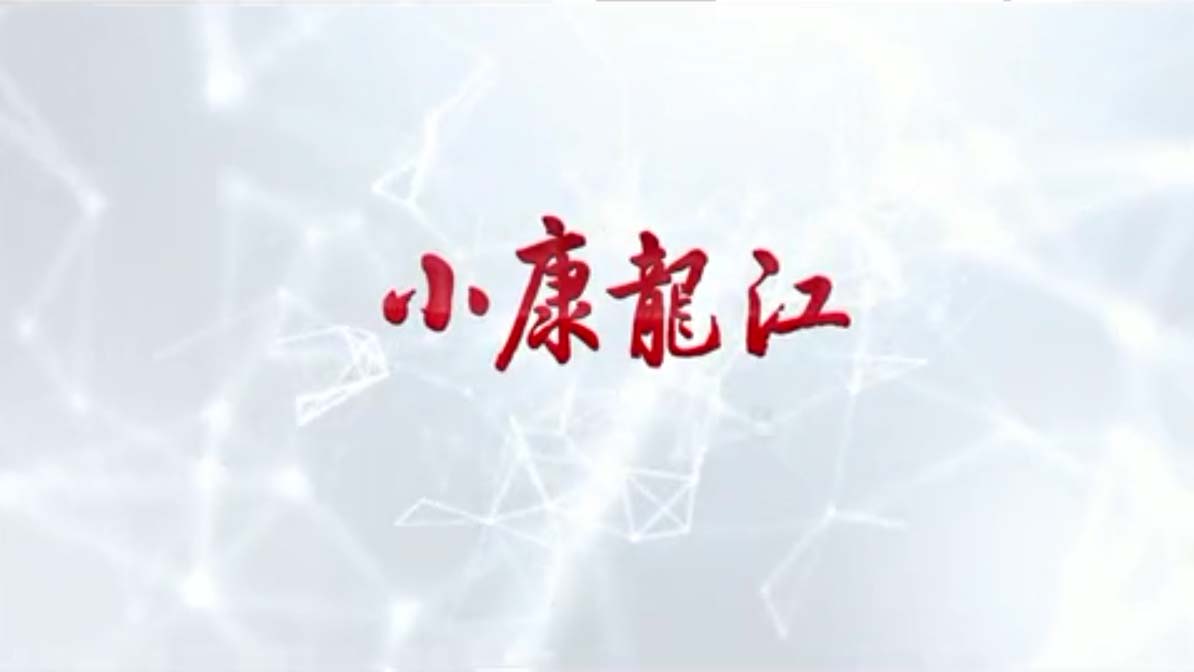 小康龙江