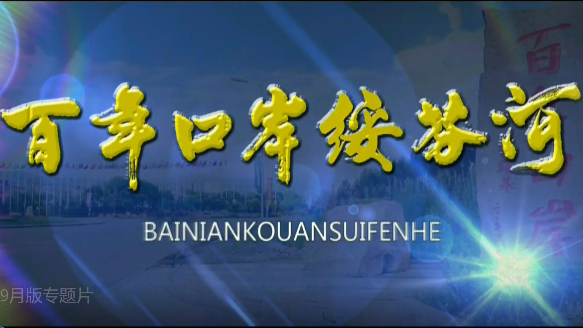 自贸区1周年宣传片