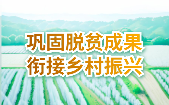 巩固拓展脱贫攻坚成果 衔接乡村振兴