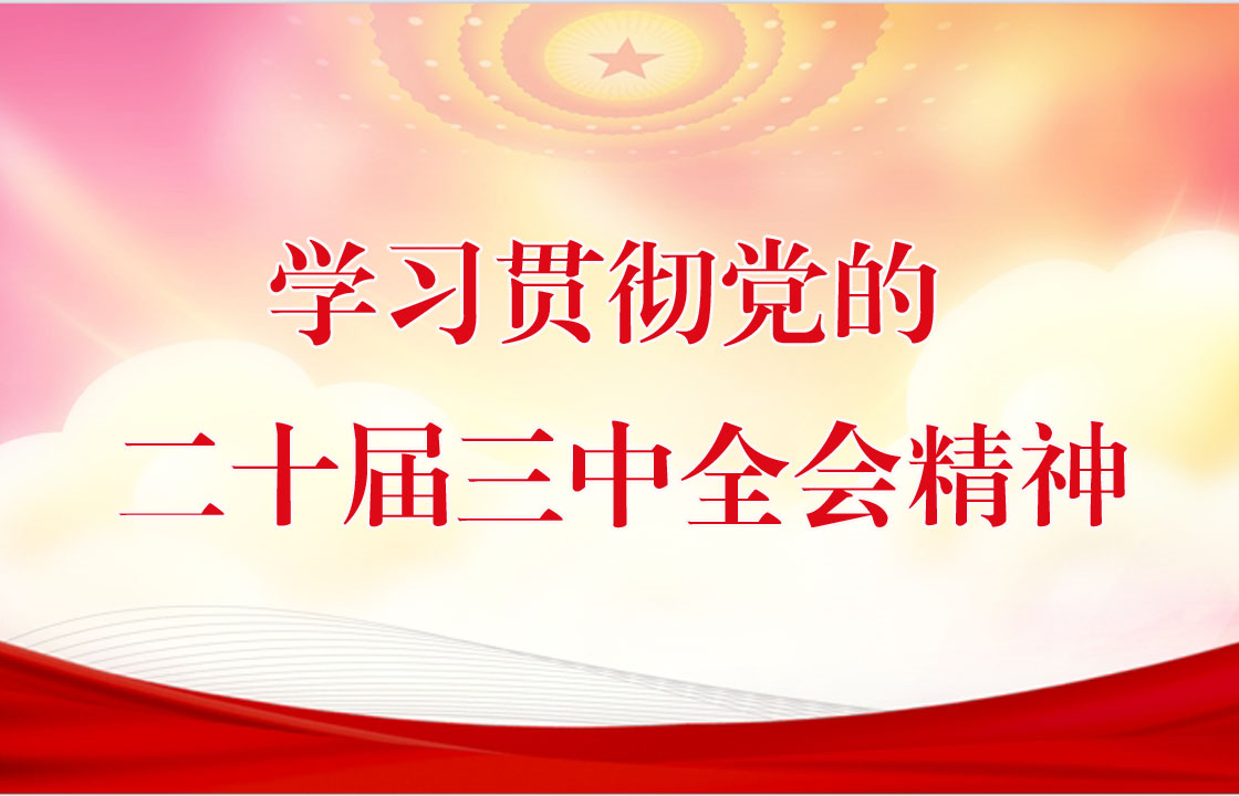 学习贯彻党的二十届三中全会精神