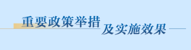 重要政策举措及实施效果
